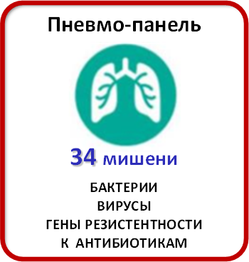 Каталог Панель для идентификации возбудителей заболеваний нижних дыхательных путей (Pneumonia Panel plus).